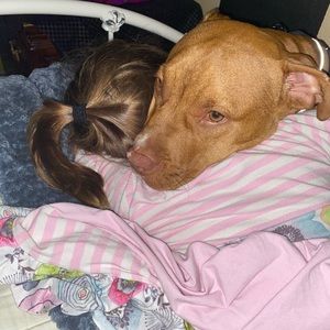 Meet your Posher, Jill